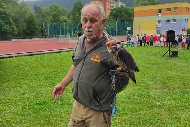 Obrázek č.43